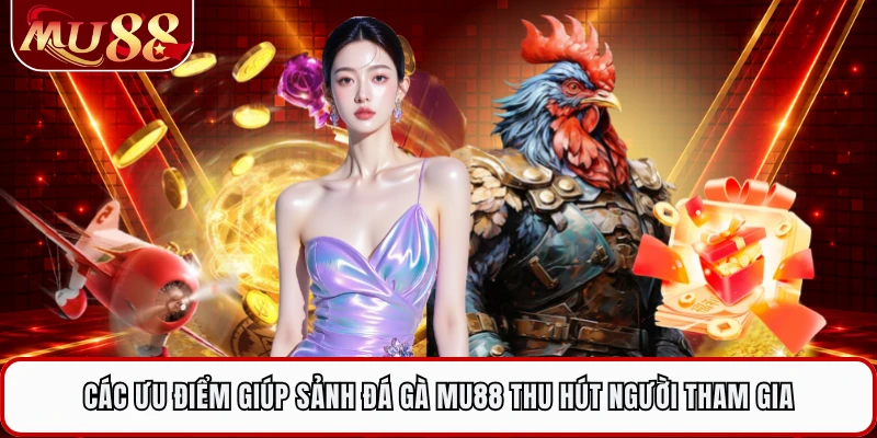 Các ưu điểm giúp sảnh đá gà MU88 thu hút người tham gia