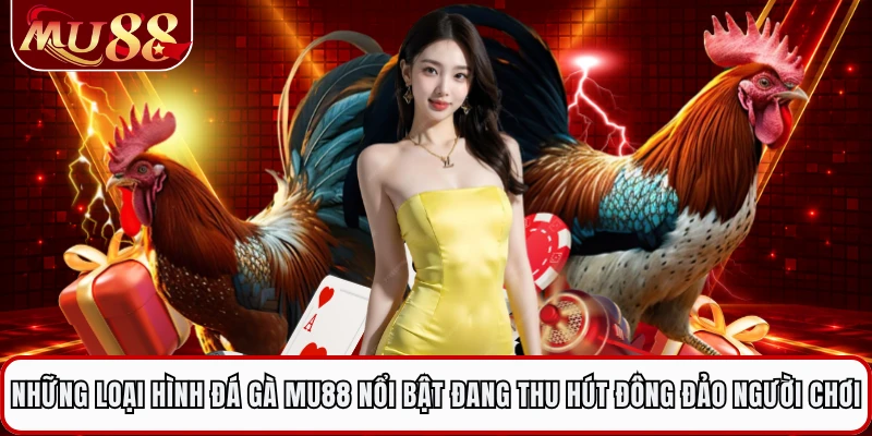 Những loại hình đá gà MU88 nổi bật đang thu hút đông đảo người chơi