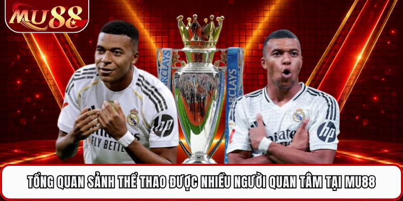 Tổng quan sảnh thể thao được nhiều người quan tâm tại MU88